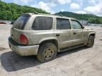 2001 Dodge Durango