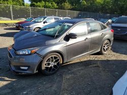 Ford Focus SEL salvage cars for sale: 2017 Ford Focus SEL