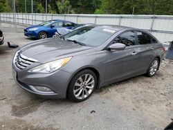 Flood-damaged cars for sale at auction: 2013 Hyundai Sonata SE