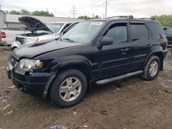 Salvage cars for sale at Columbus, OH auction: 2007 Ford Escape XLT