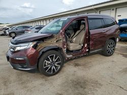 Salvage cars for sale from Copart Louisville, KY: 2019 Honda Pilot Elite