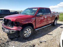 Salvage cars for sale at Magna, UT auction: 2013 Ford F150 Supercrew