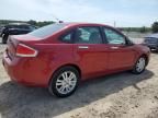 2010 Ford Focus SEL