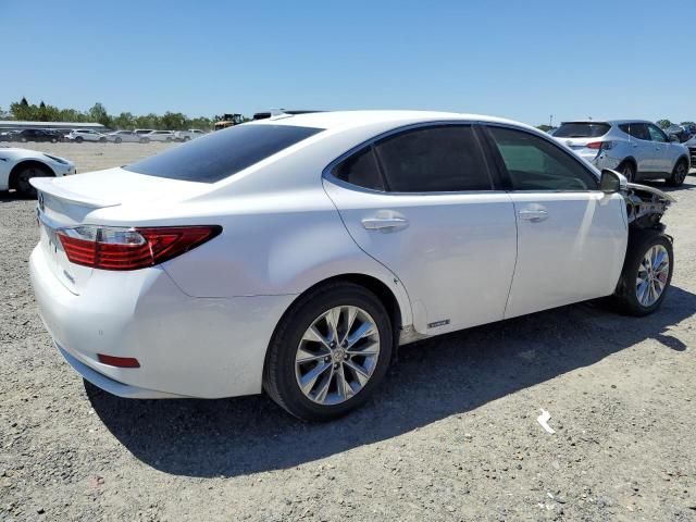 2014 Lexus ES 300H