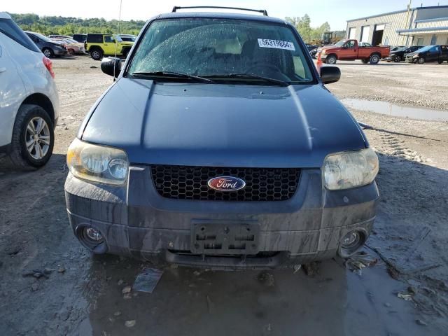 2005 Ford Escape XLT