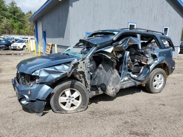 2010 Ford Escape XLT