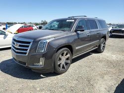 Salvage cars for sale at Antelope, CA auction: 2016 Cadillac Escalade ESV Premium