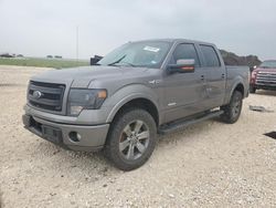 Salvage cars for sale at auction: 2013 Ford F150 Supercrew