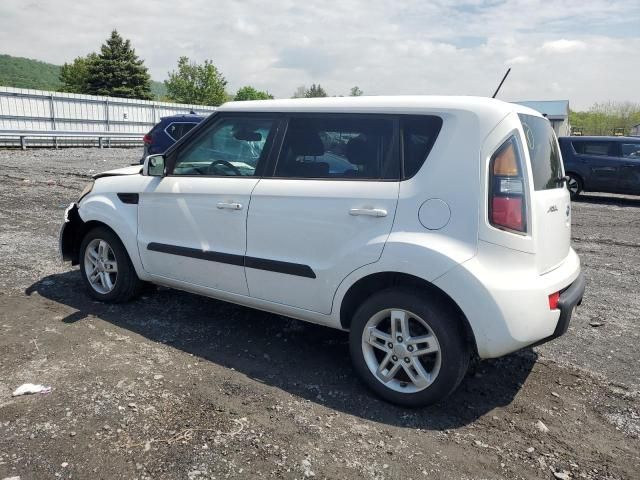 2011 KIA Soul +