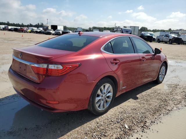 2014 Lexus ES 300H