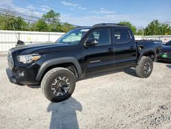 Salvage cars for sale from Copart Walton, KY: 2016 Toyota Tacoma Double Cab