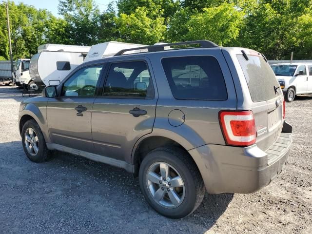 2009 Ford Escape XLT