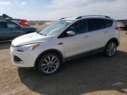 Salvage cars for sale at Greenwood, NE auction: 2016 Ford Escape SE