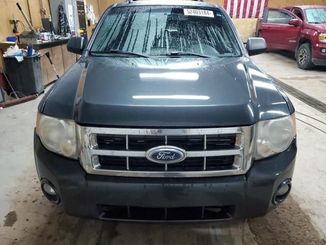 2008 Ford Escape XLT