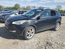 Ford Escape Titanium salvage cars for sale: 2014 Ford Escape Titanium