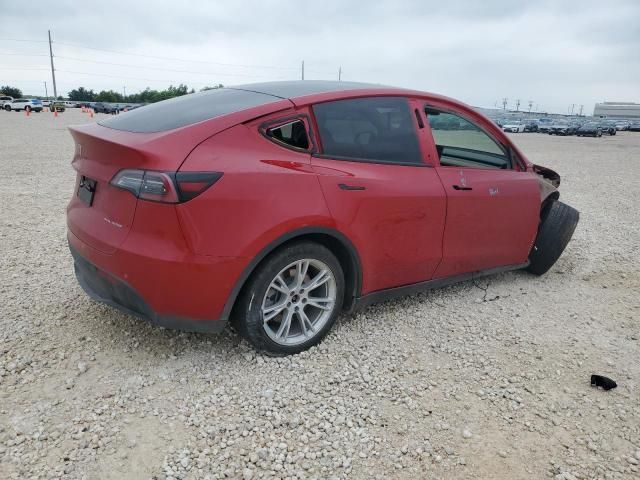 2020 Tesla Model Y