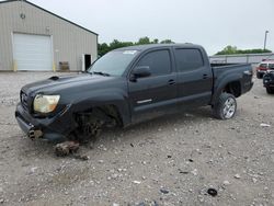 Salvage trucks for sale at Lawrenceburg, KY auction: 2008 Toyota Tacoma Double Cab