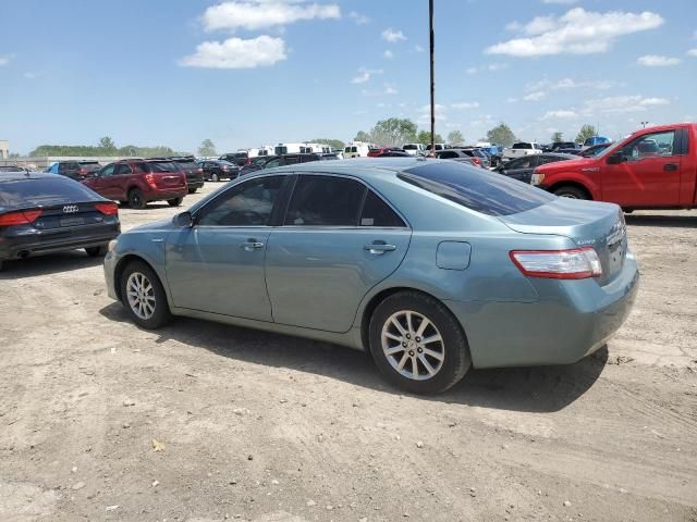 2010 Toyota Camry Hybrid