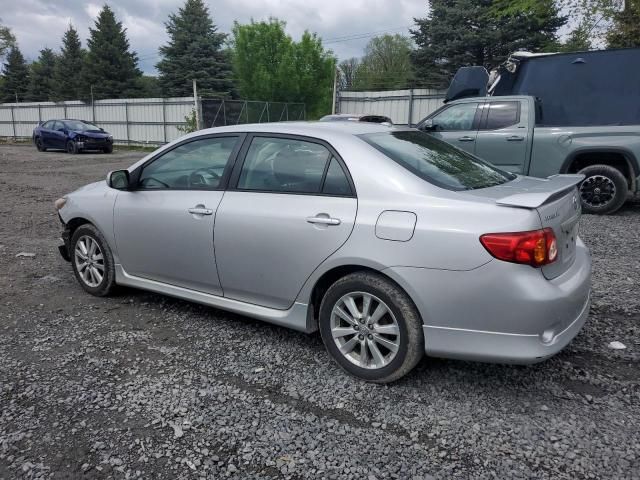 2010 Toyota Corolla Base