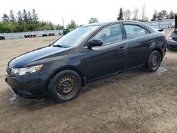 Salvage cars for sale from Copart Bowmanville, ON: 2013 KIA Forte LX