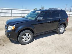 Salvage cars for sale at Appleton, WI auction: 2010 Ford Escape XLT