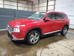 Salvage cars for sale at Columbia Station, OH auction: 2023 Hyundai Santa FE SEL Premium