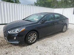 Salvage cars for sale at Baltimore, MD auction: 2019 Hyundai Sonata SE