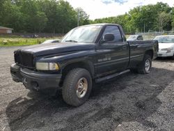 Salvage trucks for sale at Finksburg, MD auction: 1999 Dodge RAM 1500