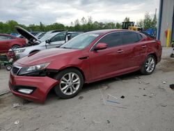 KIA Optima ex salvage cars for sale: 2013 KIA Optima EX