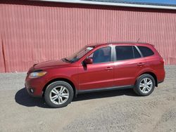 Salvage cars for sale from Copart London, ON: 2011 Hyundai Santa FE GLS