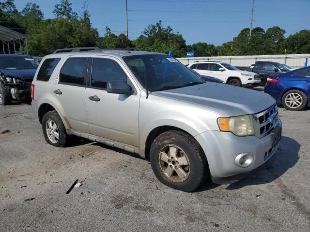 2009 Ford Escape XLT