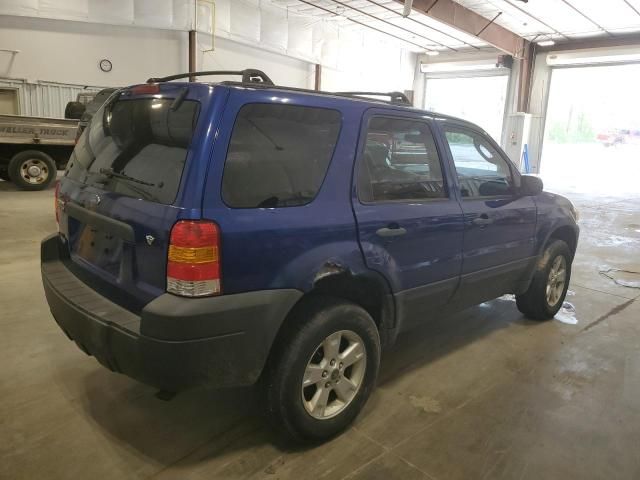 2006 Ford Escape XLT