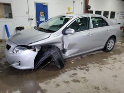 Salvage cars for sale from Copart Blaine, MN: 2010 Toyota Corolla Base