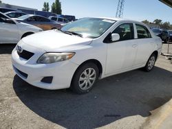 Salvage cars for sale at Hayward, CA auction: 2010 Toyota Corolla Base