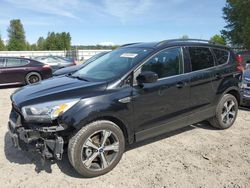 Ford Escape se salvage cars for sale: 2017 Ford Escape SE