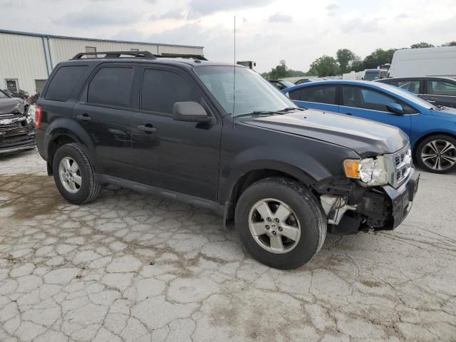 2011 Ford Escape XLT