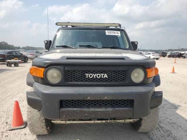 2007 Toyota FJ Cruiser