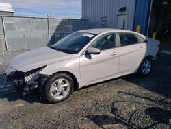 Salvage cars for sale at Elmsdale, NS auction: 2023 Hyundai Elantra SEL