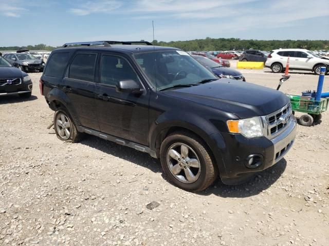 2011 Ford Escape Limited