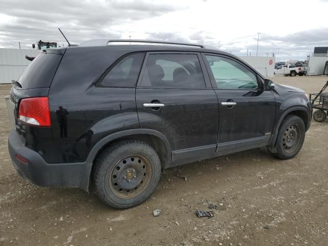 2011 KIA Sorento Base