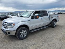 Salvage cars for sale at Helena, MT auction: 2013 Ford F150 Supercrew