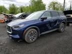 2024 Infiniti QX60 Pure