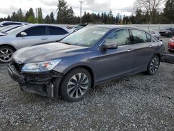Salvage cars for sale at Graham, WA auction: 2015 Honda Accord Touring Hybrid
