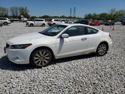 Salvage cars for sale at Barberton, OH auction: 2008 Honda Accord EXL