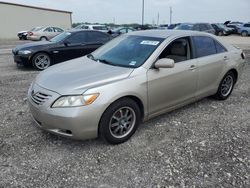 Toyota salvage cars for sale: 2007 Toyota Camry CE