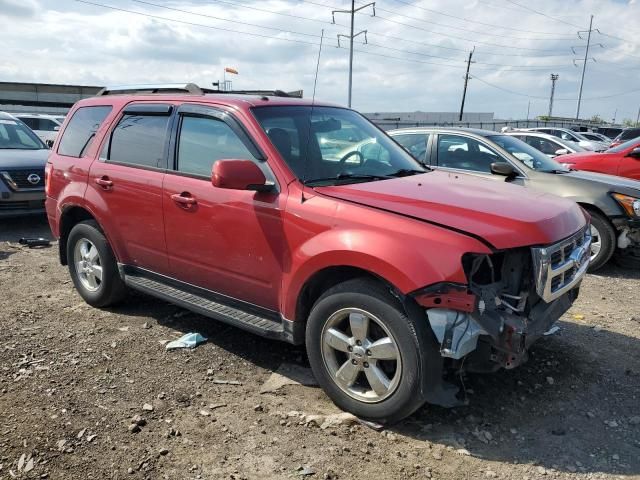 2010 Ford Escape Limited