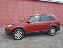 Salvage cars for sale from Copart London, ON: 2011 KIA Sorento EX