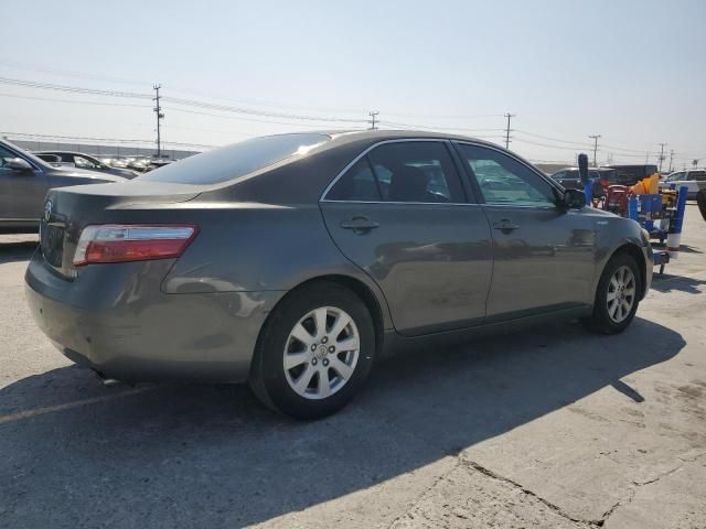 2008 Toyota Camry Hybrid