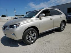 Salvage cars for sale from Copart Jacksonville, FL: 2013 Lexus RX 350