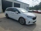 2024 Honda Odyssey EXL